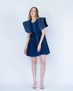Denim Statement Dress