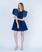 Denim Statement Dress